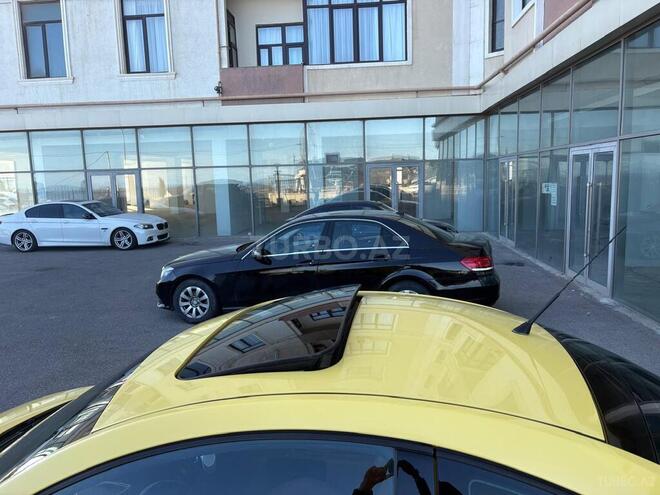 Volkswagen Beetle-19