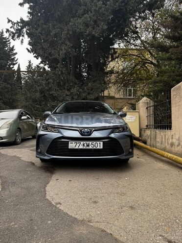 Toyota Corolla-1