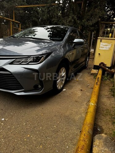 Toyota Corolla-2