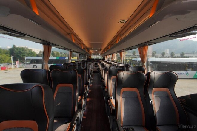 Golden Dragon TRİUMPH-13