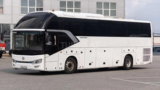 Golden Dragon TRİUMPH-6