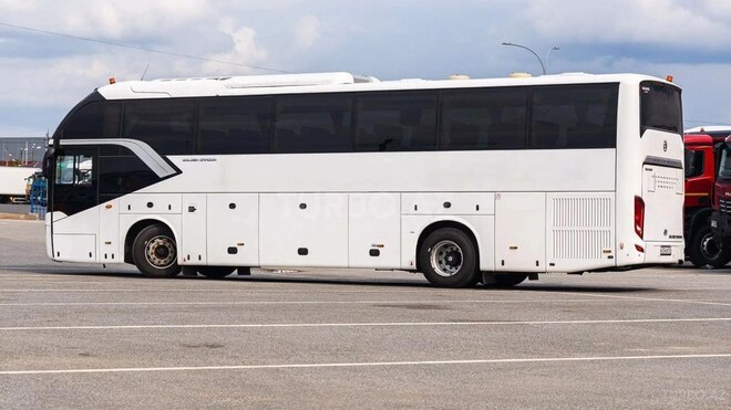 Golden Dragon TRİUMPH-7