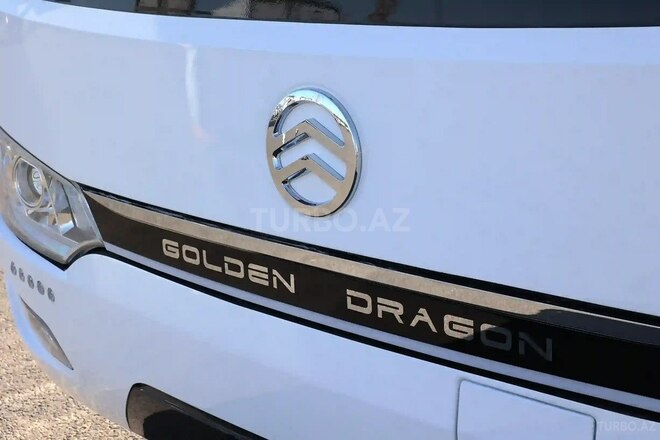 Golden Dragon Splendor-7