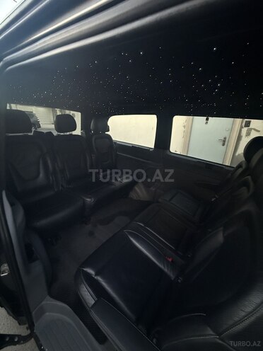 Mercedes Viano-9