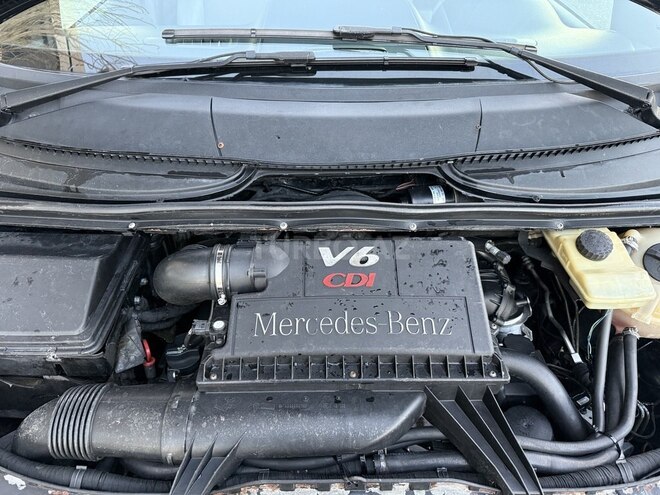 Mercedes Viano-13