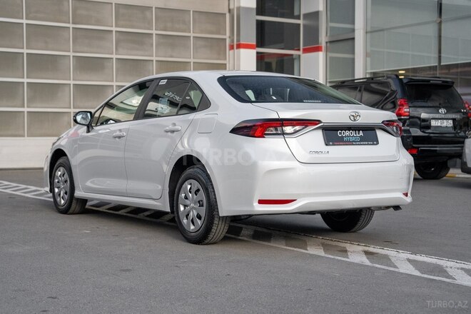 Toyota Corolla-6