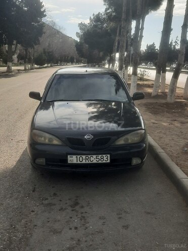 Nissan Primera-1