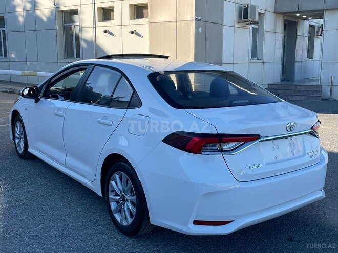 Toyota Corolla-5