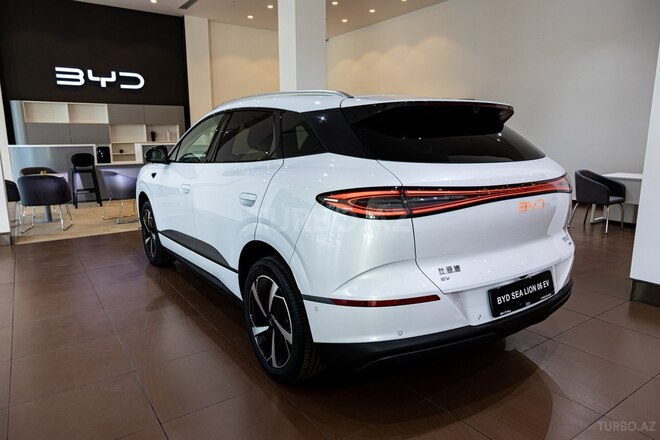 BYD Sea Lion 06-6
