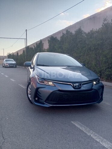 Toyota Corolla-3