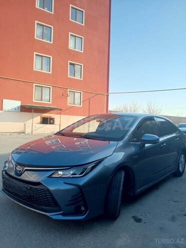 Toyota Corolla-4