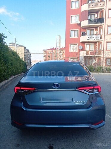 Toyota Corolla-6