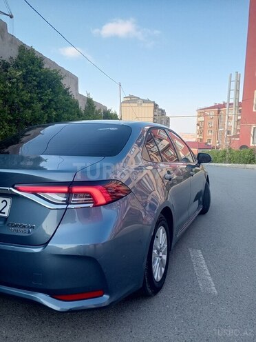 Toyota Corolla-7