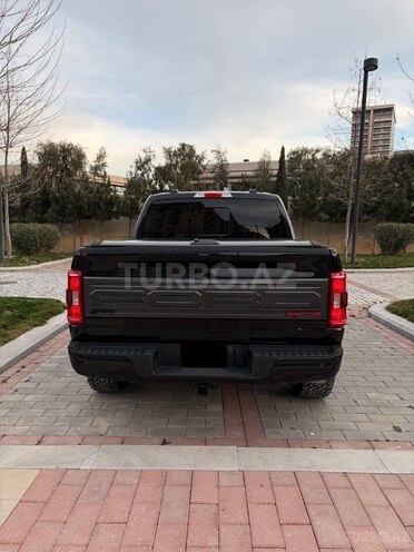 Ford F-150-14