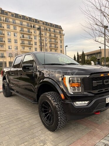 Ford F-150-12