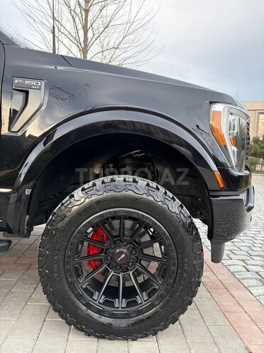 Ford F-150-13