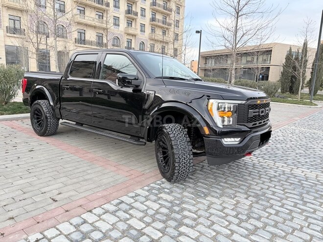 Ford F-150-17