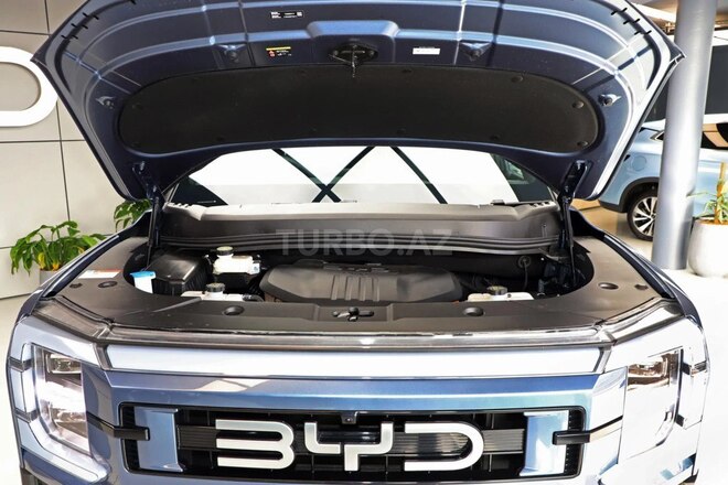 BYD Shark 6-17