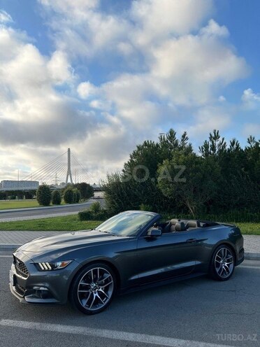 Ford Mustang-1