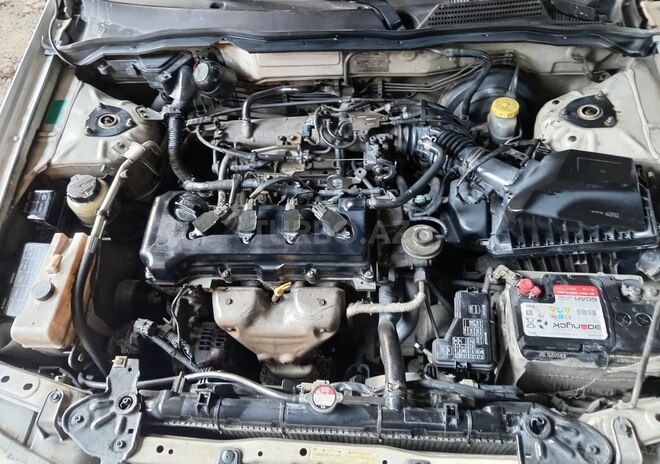Nissan Sunny-7