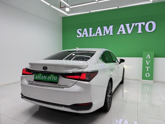 Lexus ES 300h-6