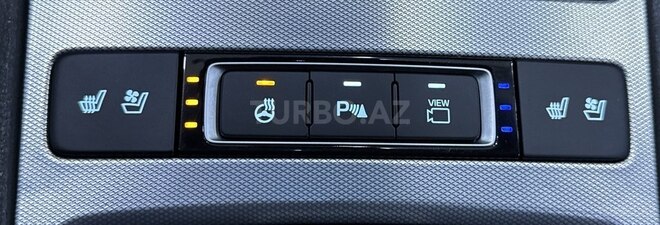 Genesis G80-19