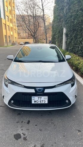 Toyota Corolla-1