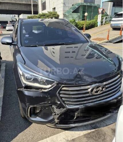 Hyundai Maxcruz-17