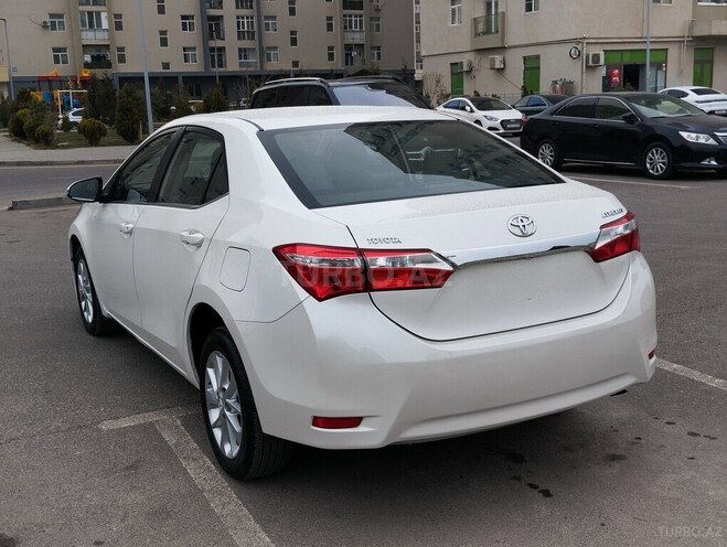 Toyota Corolla-7