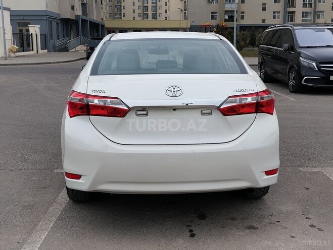 Toyota Corolla-6