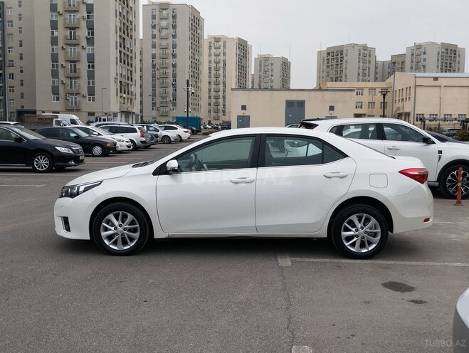 Toyota Corolla-4