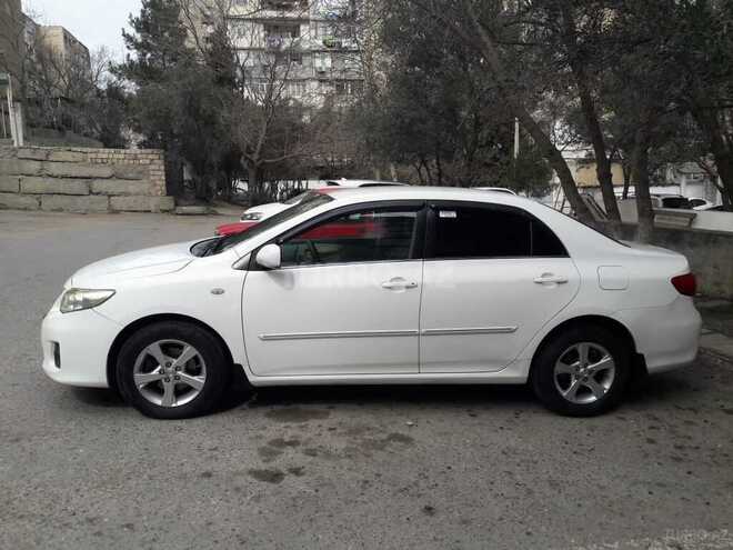 Toyota Corolla-6