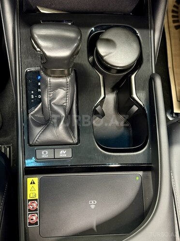 Lexus ES 300h-19