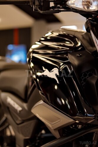 TVS Raider-13
