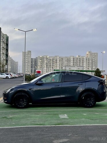 Tesla Model Y-3