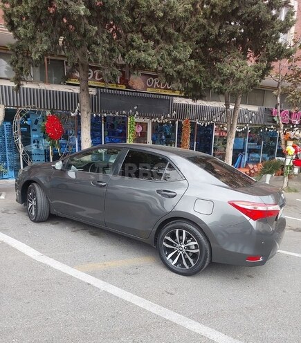Toyota Corolla-4