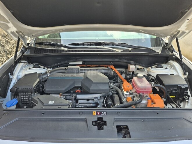 Hyundai Santa Fe-13
