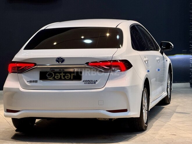 Toyota Corolla-17