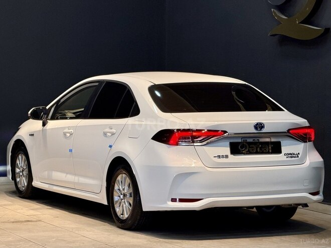 Toyota Corolla-8