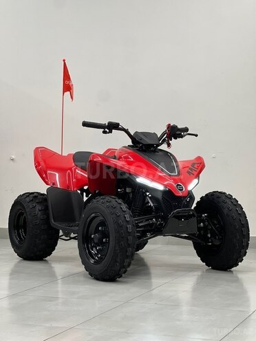 CFMOTO CFORCE 110-3