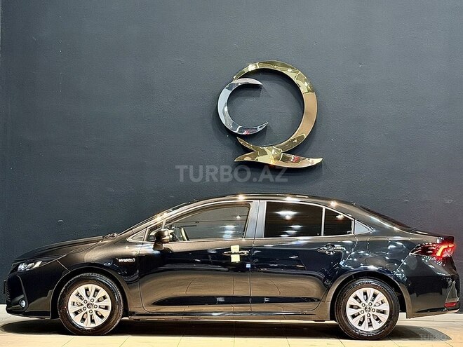 Toyota Corolla-6