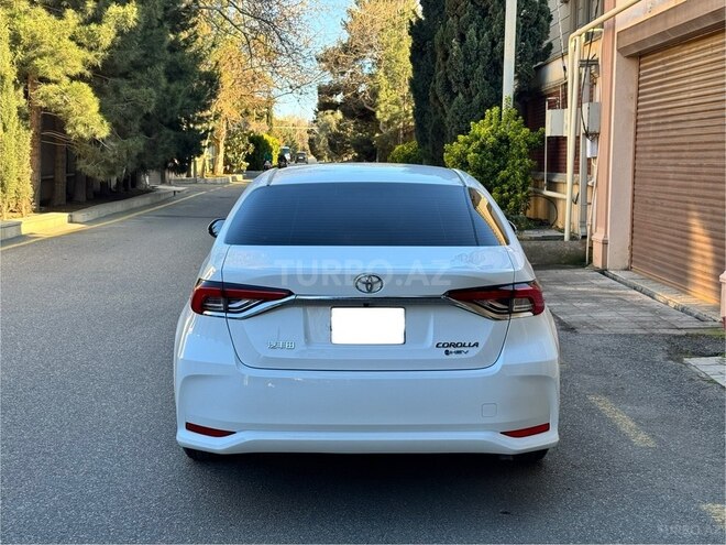 Toyota Corolla-4