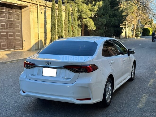 Toyota Corolla-6