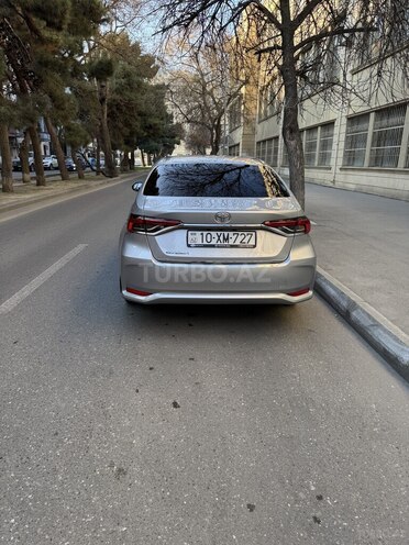 Toyota Corolla-6