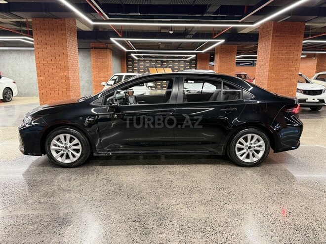 Toyota Corolla-17