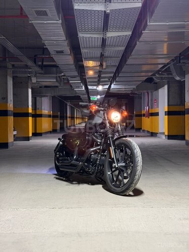Harley-Davidson XL883N Sportster Iron 883-1