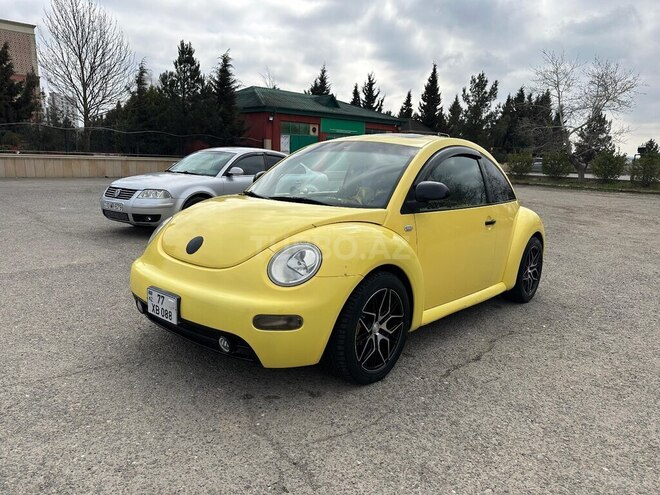 Volkswagen Beetle-16