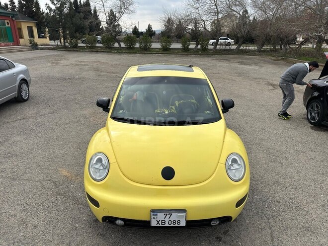 Volkswagen Beetle-17