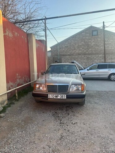 Mercedes 250 D-1