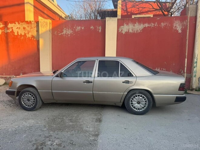 Mercedes 250 D-3